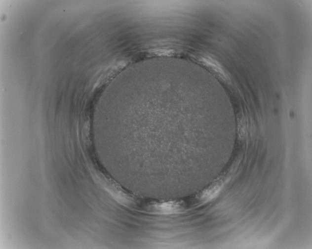 X0000070410365200606161417