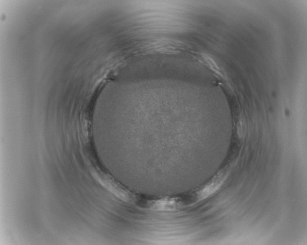 X0000070410366200606161417