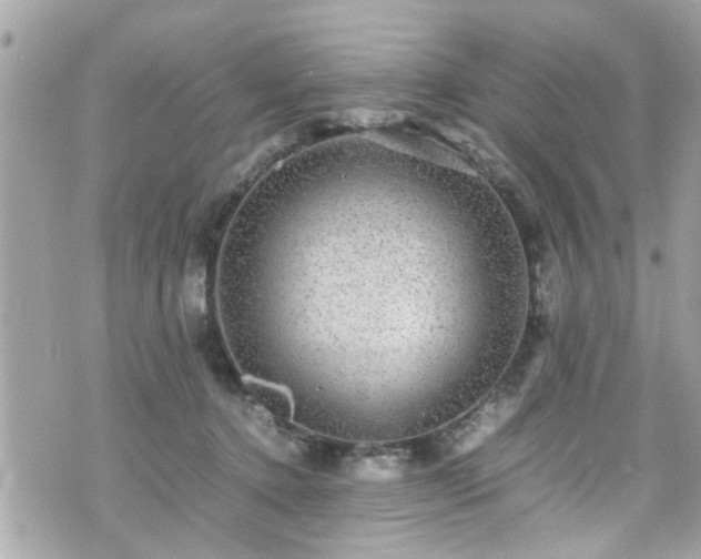 X0000070410368200606161417