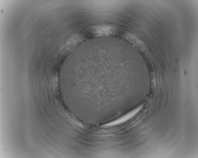 X0000070410369200606161417