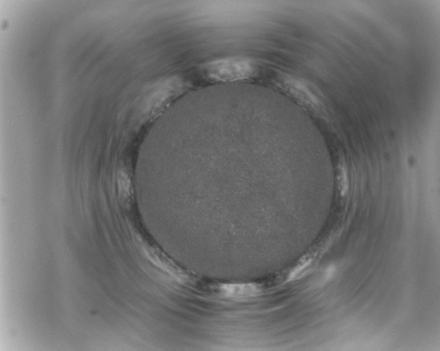 X0000070410371200606161417