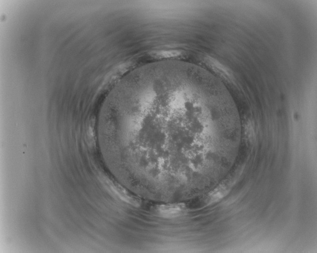 X0000070410373200606161417