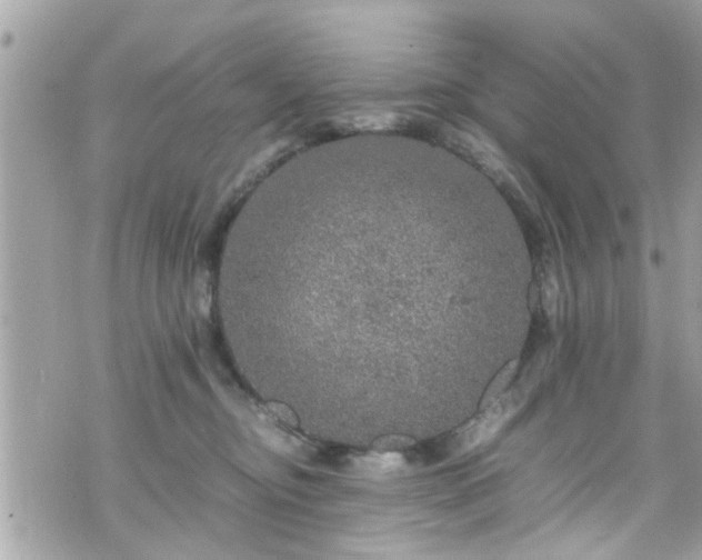 X0000070410374200606161417