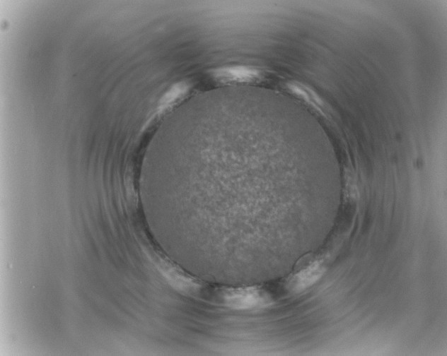 X0000070410377200606161417