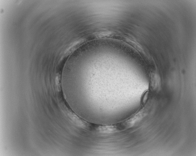 X0000070410378200606161417