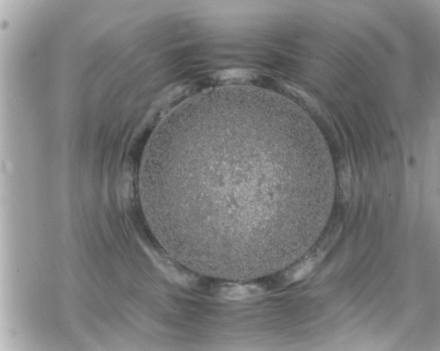 X0000070410379200606161417