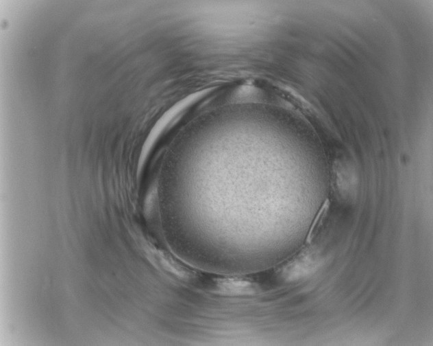 X0000070410380200606161417