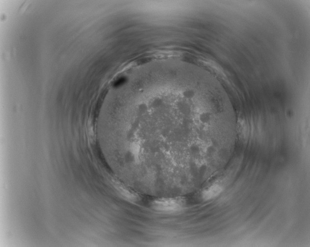 X0000070410381200606161417