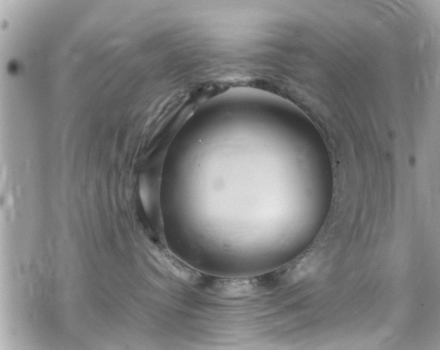 X0000070410384200606161417