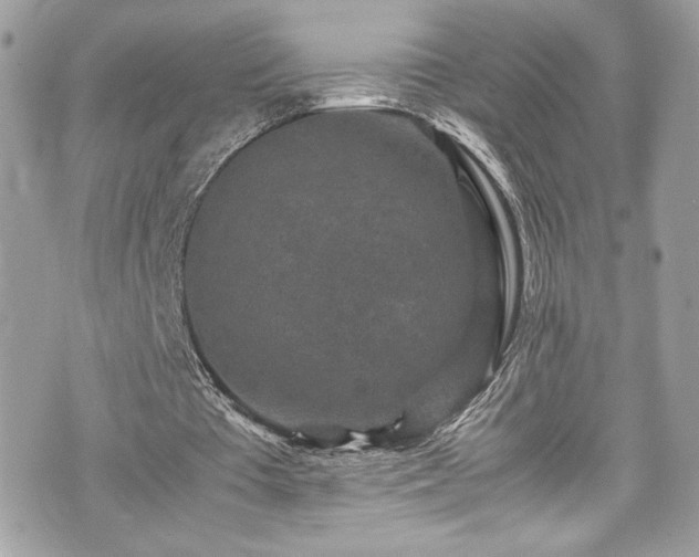 X0000070410385200606161417