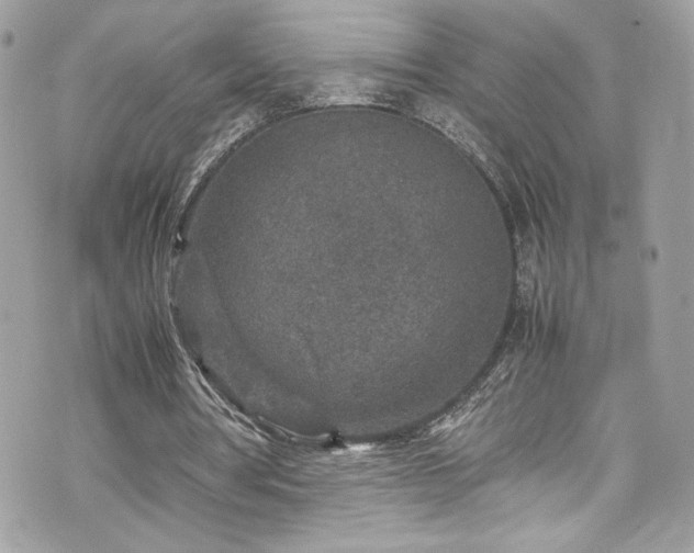 X0000070410386200606161417