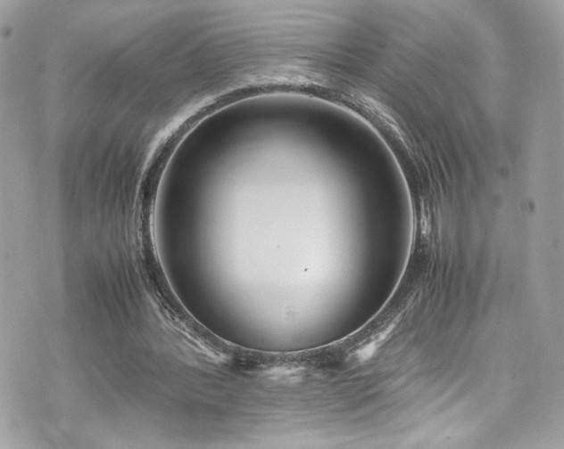 X0000070410388200606161417