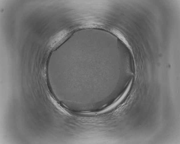 X0000070410389200606161417