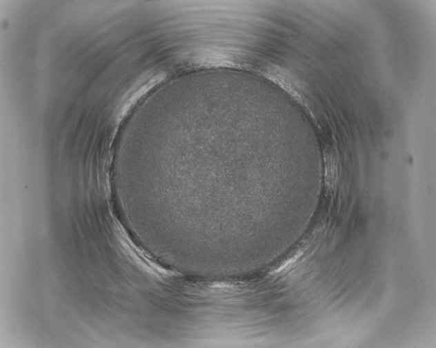 X0000070410390200606161417