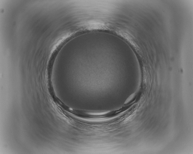 X0000070410391200606161417