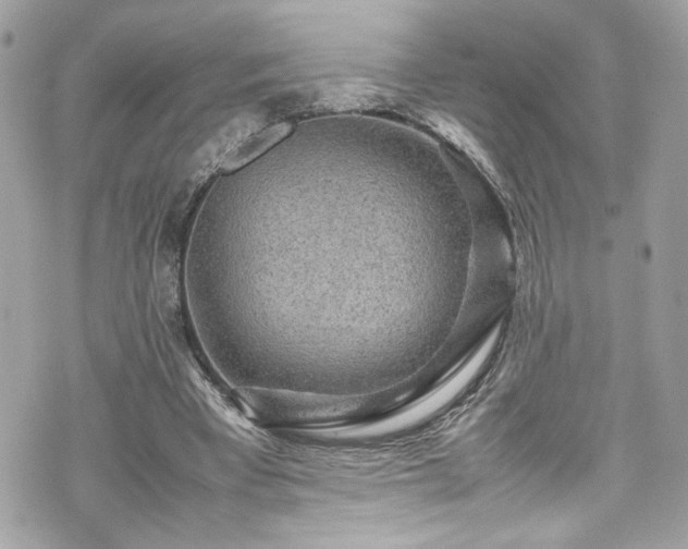 X0000070410393200606161417