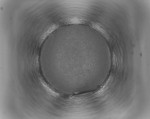 X0000070410394200606161417