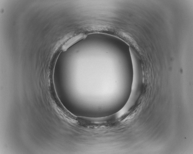 X0000070410395200606161416