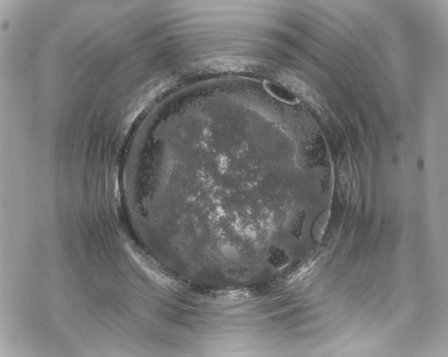 X0000070410398200606161416