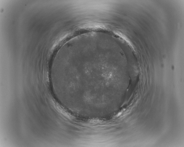 X0000070410399200606161416