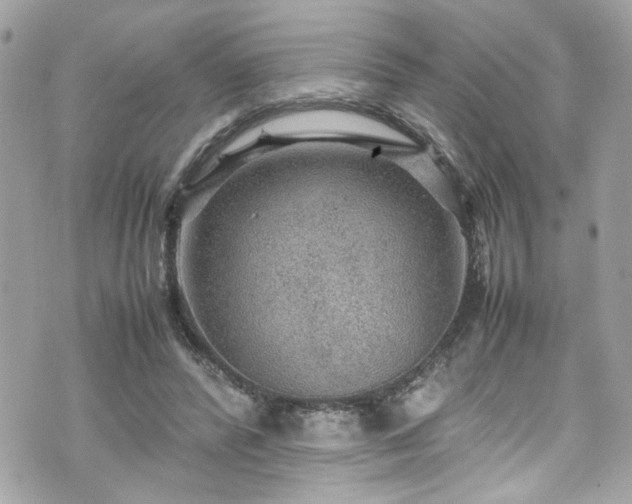 X0000070410400200606161416