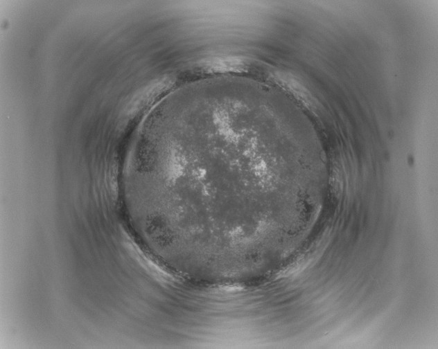 X0000070410402200606161416