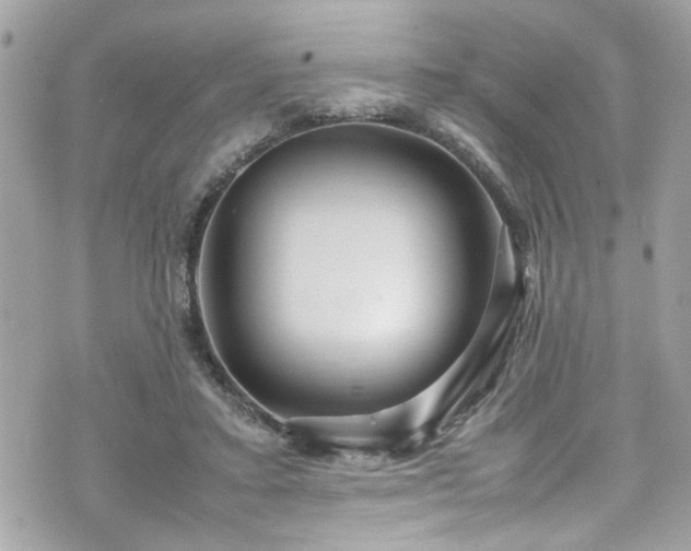 X0000070410403200606161416