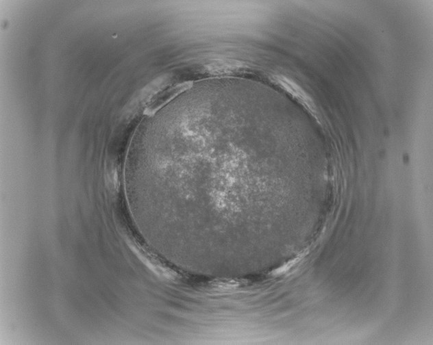 X0000070410405200606161416