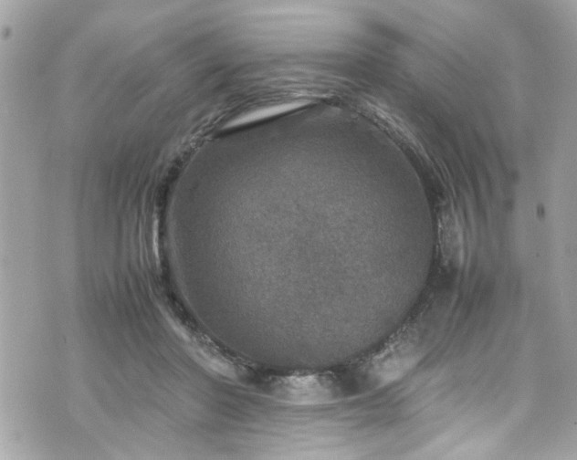 X0000070410406200606161416