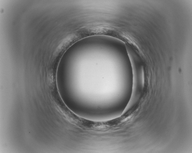 X0000070410407200606161416