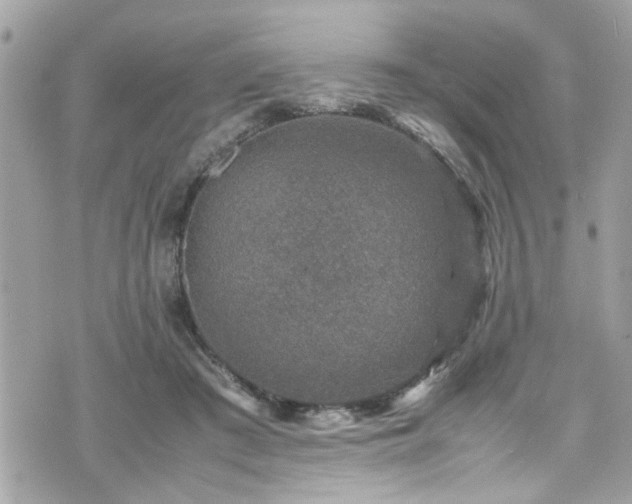 X0000070410409200606161416