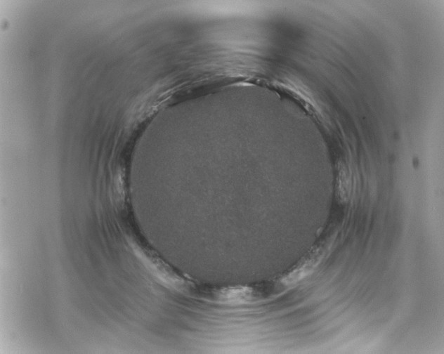 X0000070410410200606161416