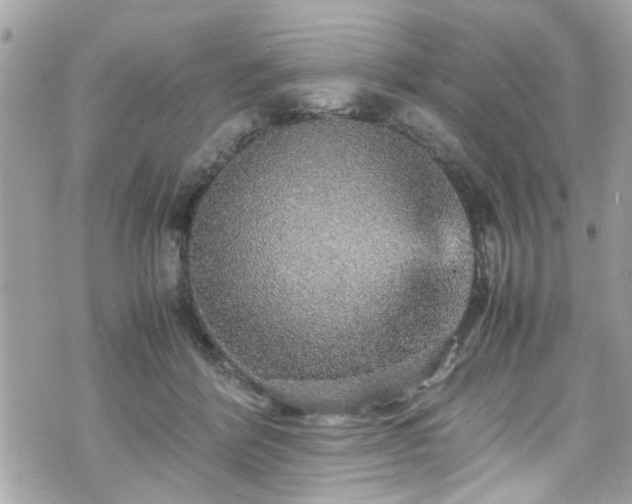 X0000070410412200606161416