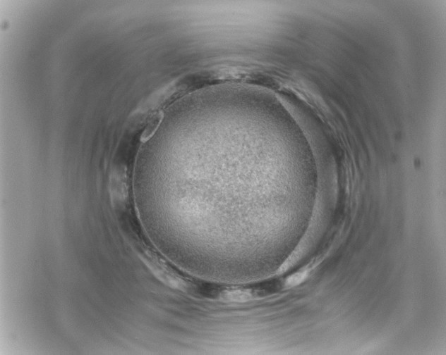 X0000070410413200606161416