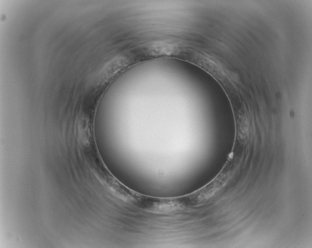 X0000070410414200606161416