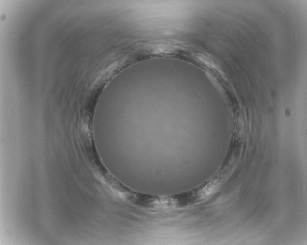 X0000070410415200606161416