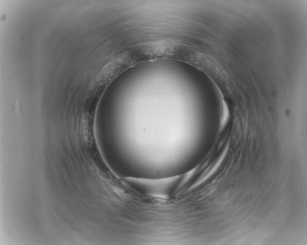 X0000070410416200606161416