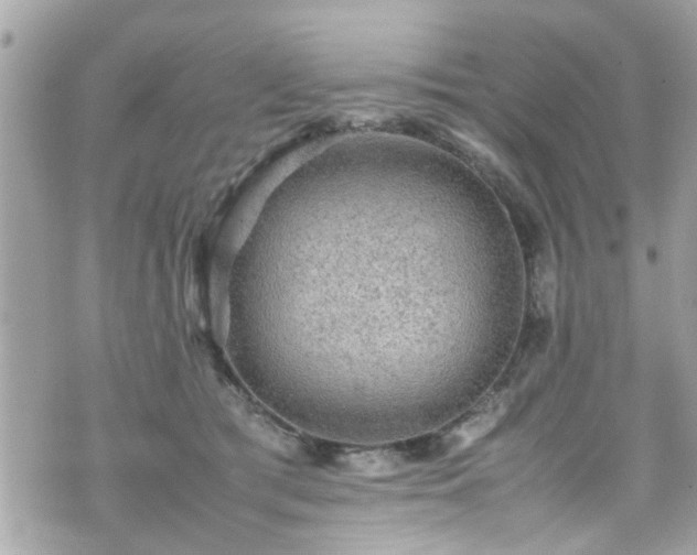 X0000070410417200606161416