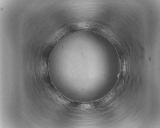 X0000070410418200606161416