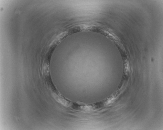 X0000070410419200606161416