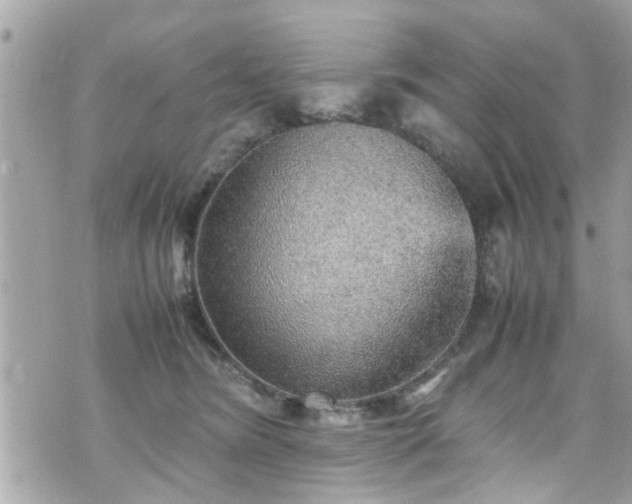 X0000070410420200606161416