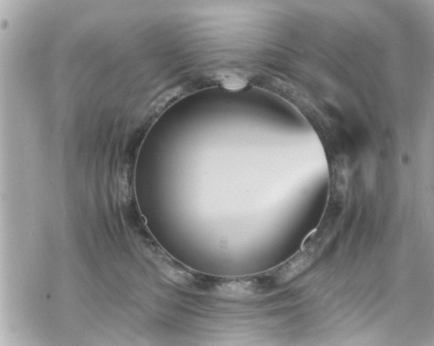 X0000070410422200606161416