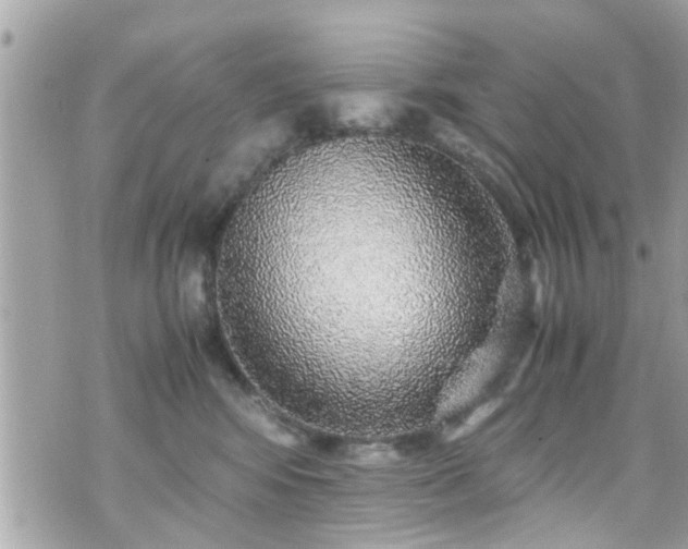 X0000070410424200606161416