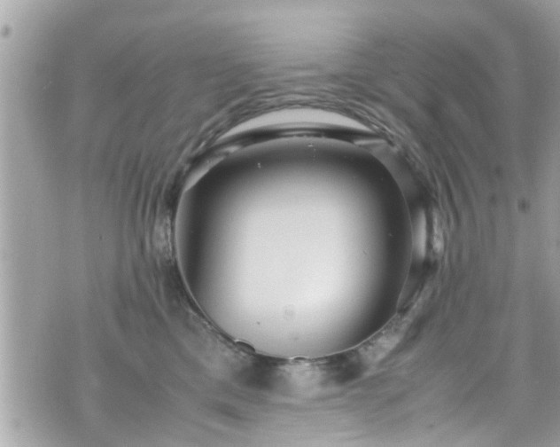 X0000070410425200606161416