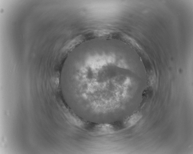 X0000070410427200606161416