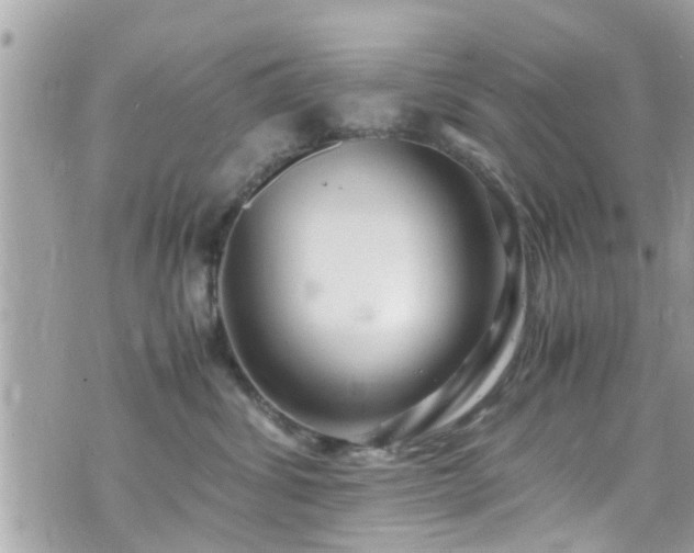 X0000070410428200606161416