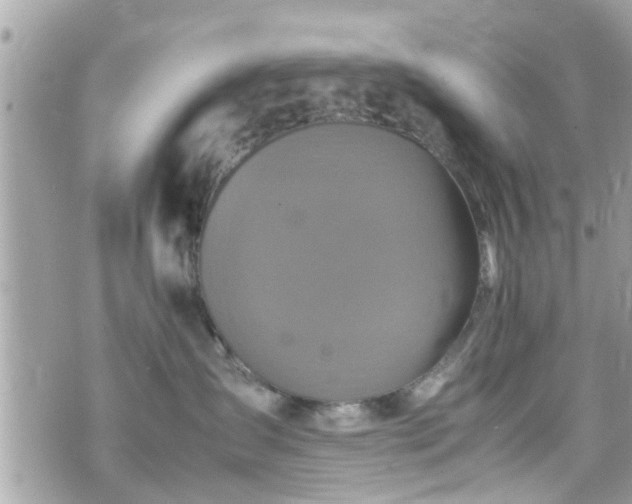 X0000070410431200606161416