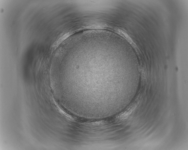 X0000070410433200606161415