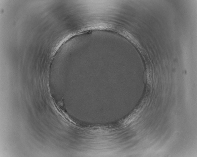 X0000070410434200606161415