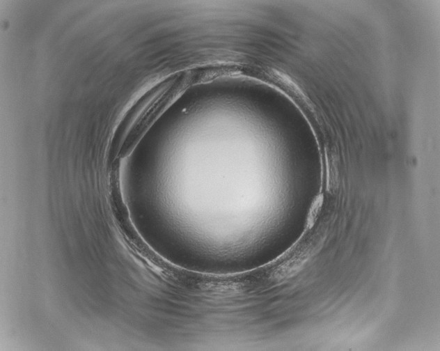 X0000070410435200606161415